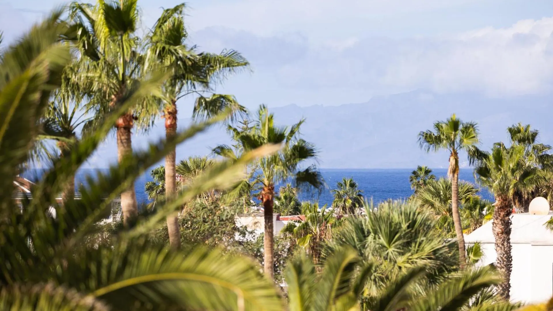 Friendly Place To Be Playa de las Americas  Apartment